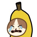 꽃곰 이미지