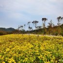 화천자전거대여소 이미지