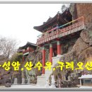 솔봉농장 이미지