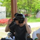 대일통닭 이미지