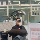 라비타 | 신창동 미용실 헤어클리닉 맛집 라비타헤어 손상모 케어 후기