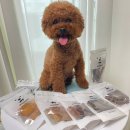 뚱띠레이 이미지