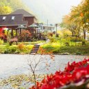 단풍스테이 이미지