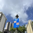 하와이에너지 | 하와이 신혼여행 후기 : 핑크트롤리 노선 따라 알라모아나 쇼핑센터