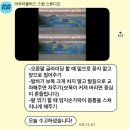 서울개인수영레슨 아쿠아플럭스 일대일 수영 PT 후기