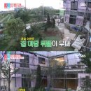 메이비 하우스 이미지