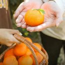 주식회사엠비코리아 이미지