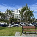 일산동 일산근린공원-2 이미지