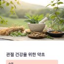 약초생활건강 이미지