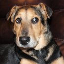 모현동물병원 이미지