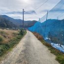 겸면농장 이미지