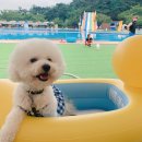 개리비안베이 이미지