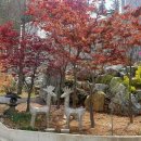 포레스트카라반 이미지