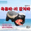 [효리네민박집] 순심이 모카의 엄마 어딨어? 놀이 .gif 이미지