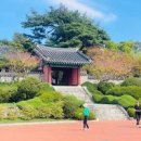 강원도 강릉 가볼만한곳 강릉 오죽헌 입장료 주차 국내여행 추천 이미지
