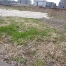 강정동-25 이미지