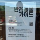 후추하우스 | 평창 카페ㅣ대관령 알펜시아 리조트 근처 이진리커피하우스 후추커피 후기