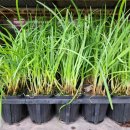 그린종묘농약사 이미지