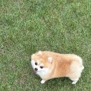 학골사랑방 이미지