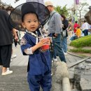 한옥안 | 전주 한옥마을 아기랑 한복체험 내돈내산 후기, 안했으면 후회할뻔!