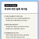 푸쉬박스 | 냉동밥 보관 용기 드디어 정착템! 리빙크리에이터 푸쉬락 내돈내산