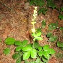 명덕레져 이미지