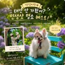 태안 가볼만한곳 충남 태안 애견동반 펫투어 팜카밀레 힐링여행코스 후기 ft. 로망스투어