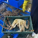 놀부회센타 이미지