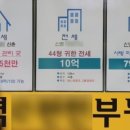 대가부동산중개사무소 이미지