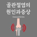 🍀 관절염(Arthritis) 🍀 이미지
