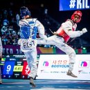 부영태권도 이미지