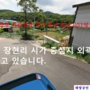 세양식품