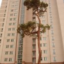 수완우미린2차 2 이미지