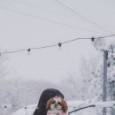 아크 플래닛 이미지