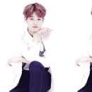 원클린 이미지