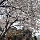 카페 모퉁이 | 부암동 산모퉁이 카페 방문후기