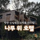 구민농장 | 노원 수락휴 자연휴양림 예약 아이들이랑 다녀온 후기