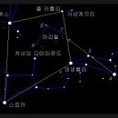 머리털자리