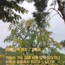 서계 고택 이미지