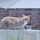 지아아틀리에 이미지