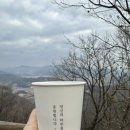 유부부세종