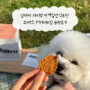 리프 | 강아지 저지방 단백질간식추천 쥬떼오 터키리프칩 솔직후기
