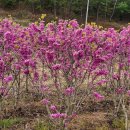 화남농장 이미지