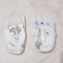 네이처PC | 팸퍼스 2026 터치 오브 네이처 썸머팬티