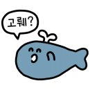 Top Motors(탑모터스) 이미지