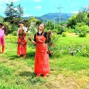 인기농장 이미지