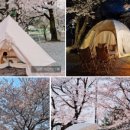 열린캠핑장 이미지