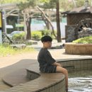 호텔스카이파크대전1호점 | 냉면 검색해서 찾은 부민소문난세숫대야냉면 🍜 먹고 대전 가성비호텔 호텔스카이파크 대전1호점으로 🏨