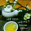 포스틸 이미지