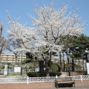 이수흥공원 이미지